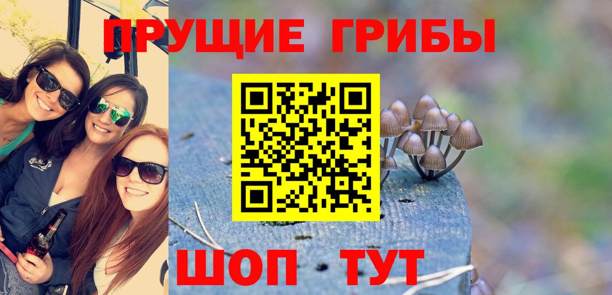 Галлюциногенные грибы Psilocybine cubensis Дзержинский