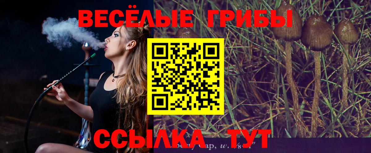 Дзержинский  Галлюциногенные грибы MAGIC MUSHROOMS  Вход с VPN 